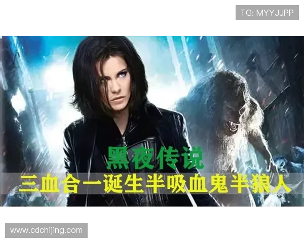 蕾丝边吸血鬼杀手踏上黑夜救赎之旅揭开古城血影秘史传奇谜局